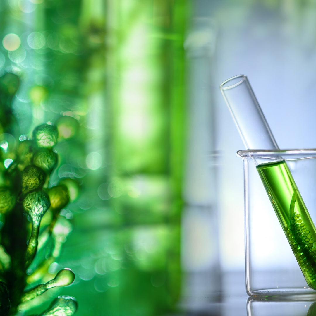 About Us – Caduceus Science